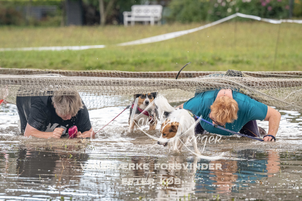 1443_ZZ90840 | kk-dogfotos