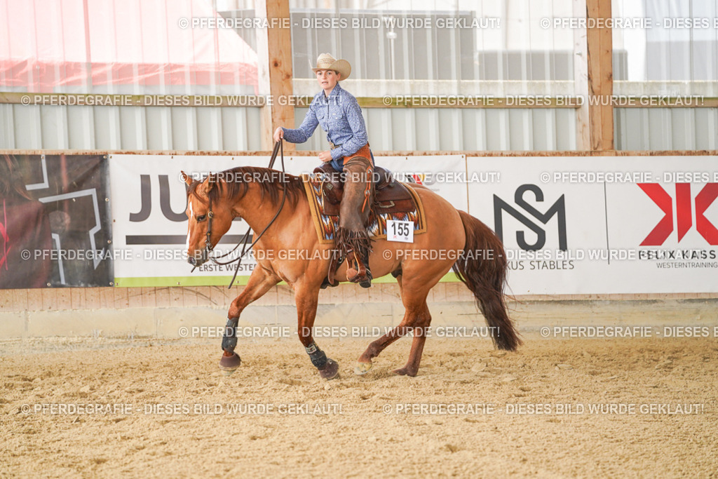 DSC01578 | Pferdegrafie