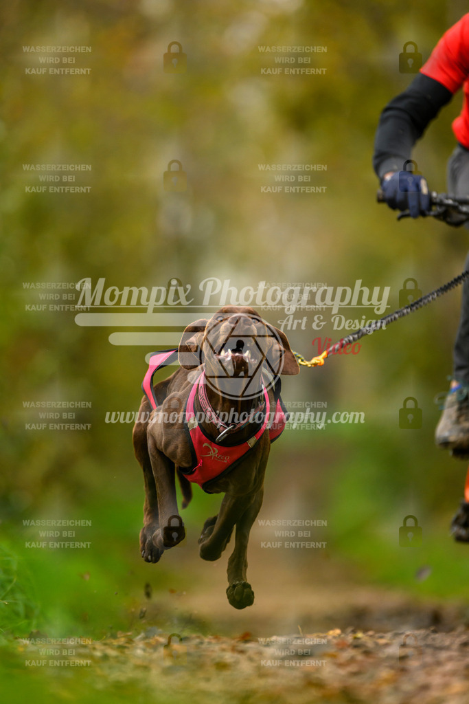 MompixPhotography_20TSB_E6_Bike-39 | PayLife