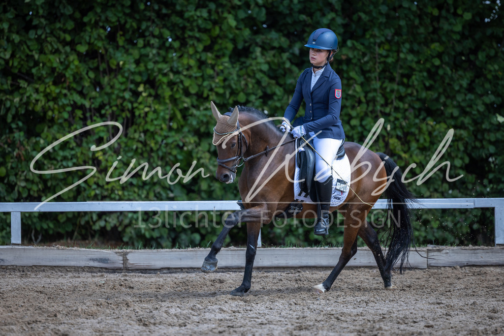 20260905-_3LI8432 | Tierfotografie Pferde, Hunde, Katzen, Haustiere.
Turnierfotografie Reitturniere, Reiten, Springreiten, Dressur in Hanau, dem Main-Kinzig-Kreis und dem Rhein-Main- Gebiet um Frankfurt