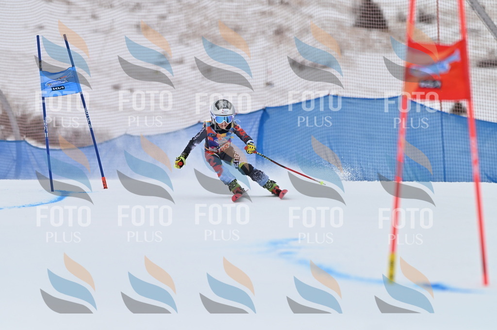 BGV_0107 | holidayphoto