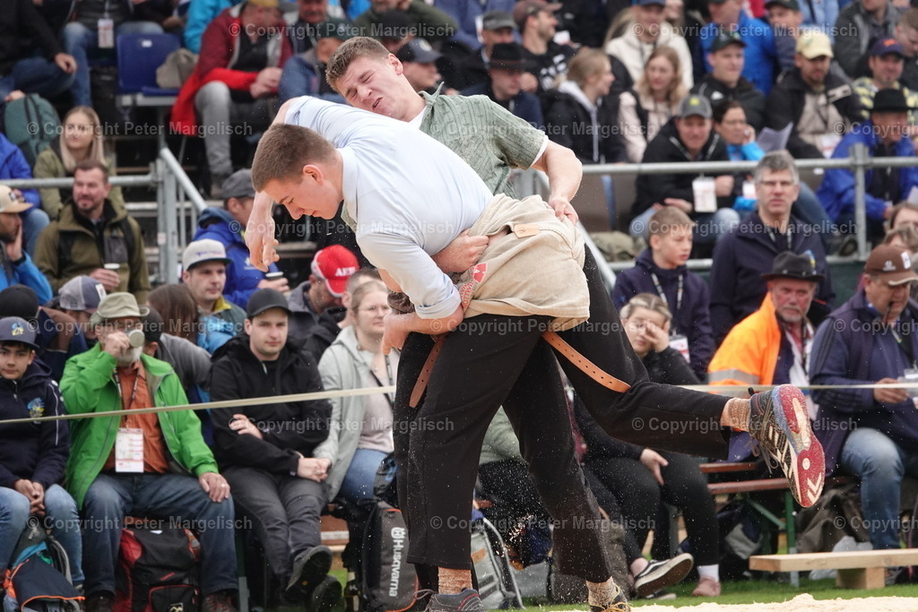 DSC03785 | Schwingen - Realisiert mit Pictrs.com