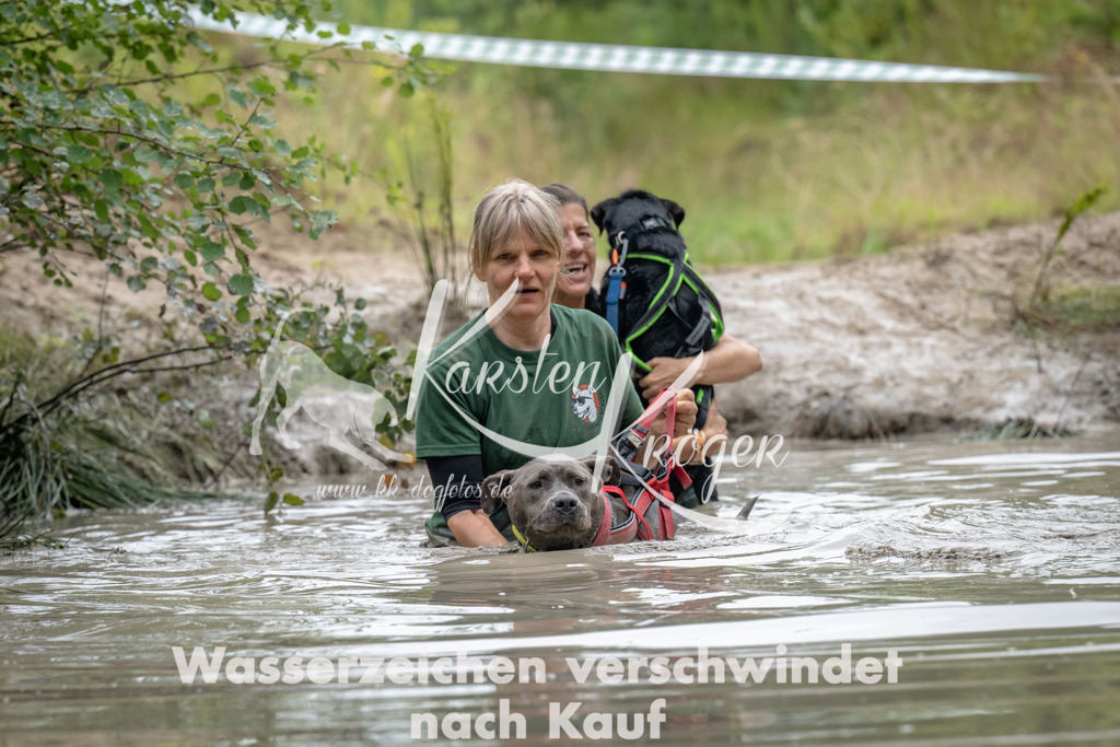 1345_ZZ92484 | kk-dogfotos
