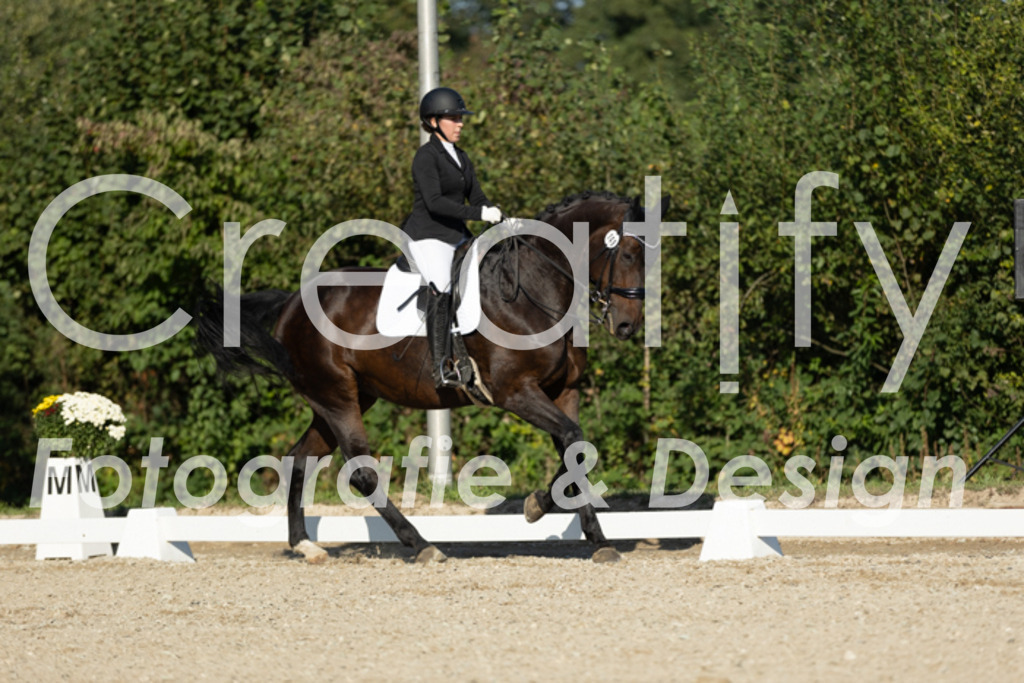 IMG_0831 | Creatify Fotografie