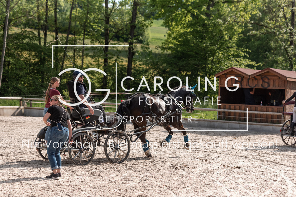 DSC_2640 | Turnierfotografin Carolin Gieschke, Turnierfotografie Carolin G Fotografie, Turnierfotos Kirchheim/Teck, Esslingen, Stuttgart, Bodenseekreis