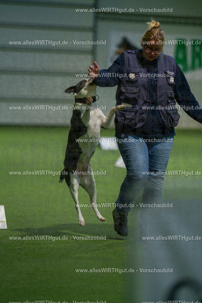 7R504770 | Professionelle Tierfotografie in Mönchengladbach von Daniel Wirth (allesWIRTHgut). Liebevolle & natürliche Bilder von Hunden & Katzen für unvergessliche Erinnerungen.