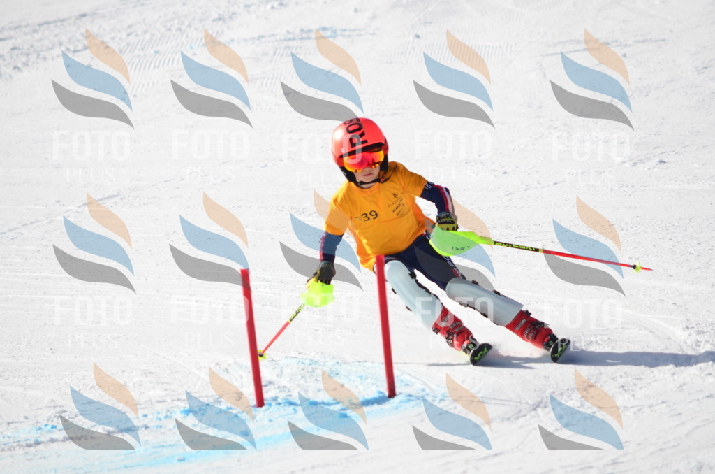 C6515 | holidayphoto