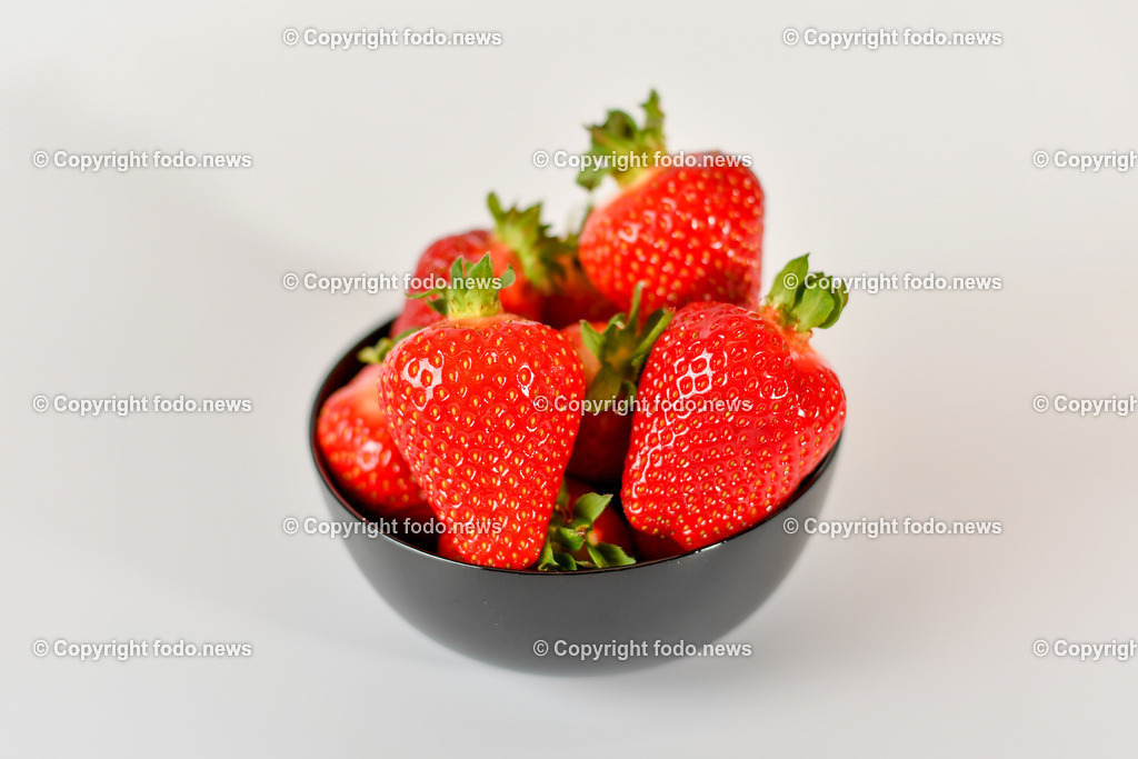 Erdbeeren Lehner_ Haag_ 17.05.2023-27 | 17.05.2023, Haag, AUT, Erdbeeren Lehner, im Bild Erdbeeren