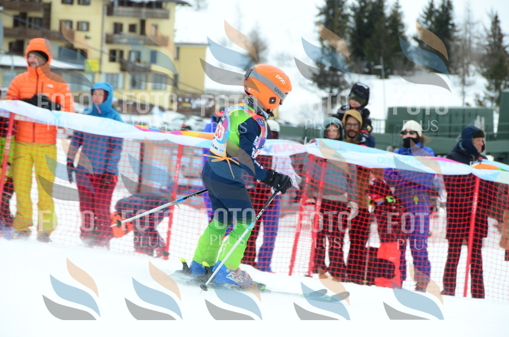 DSC_1347 | holidayphoto