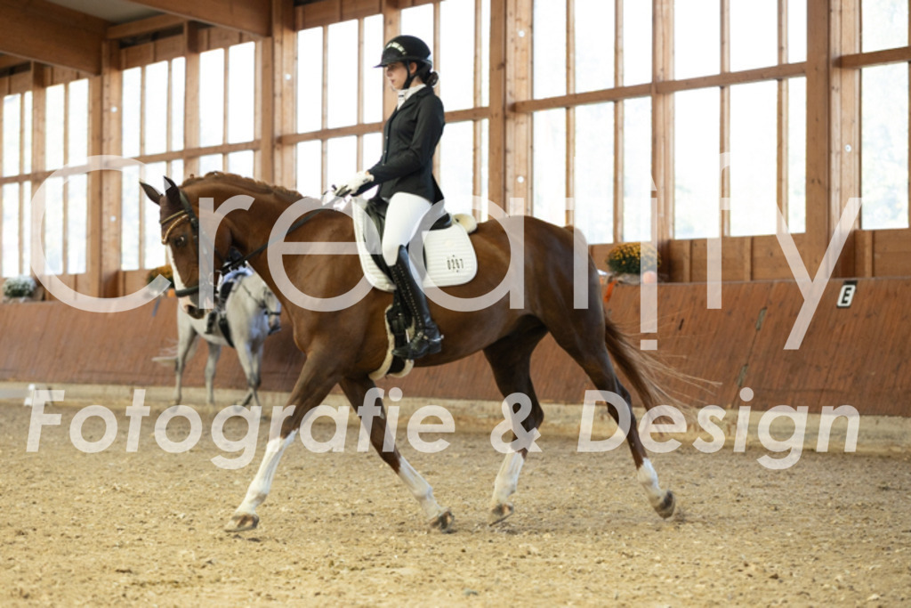 IMG_5221 | Creatify Fotografie