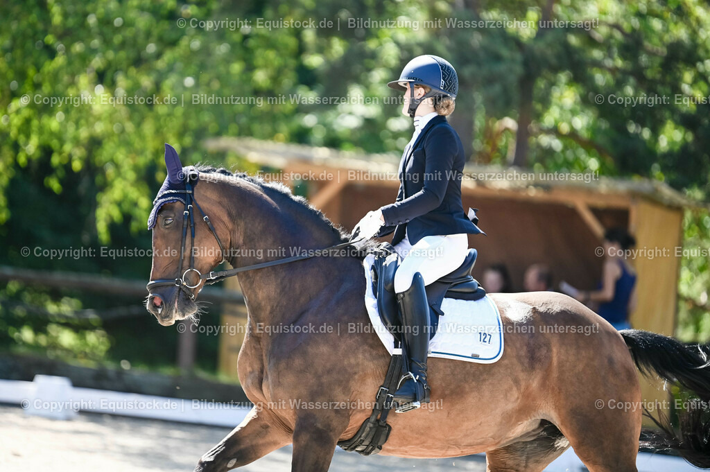 20230908_06_Dressur-L-Trense_0387 | equistock