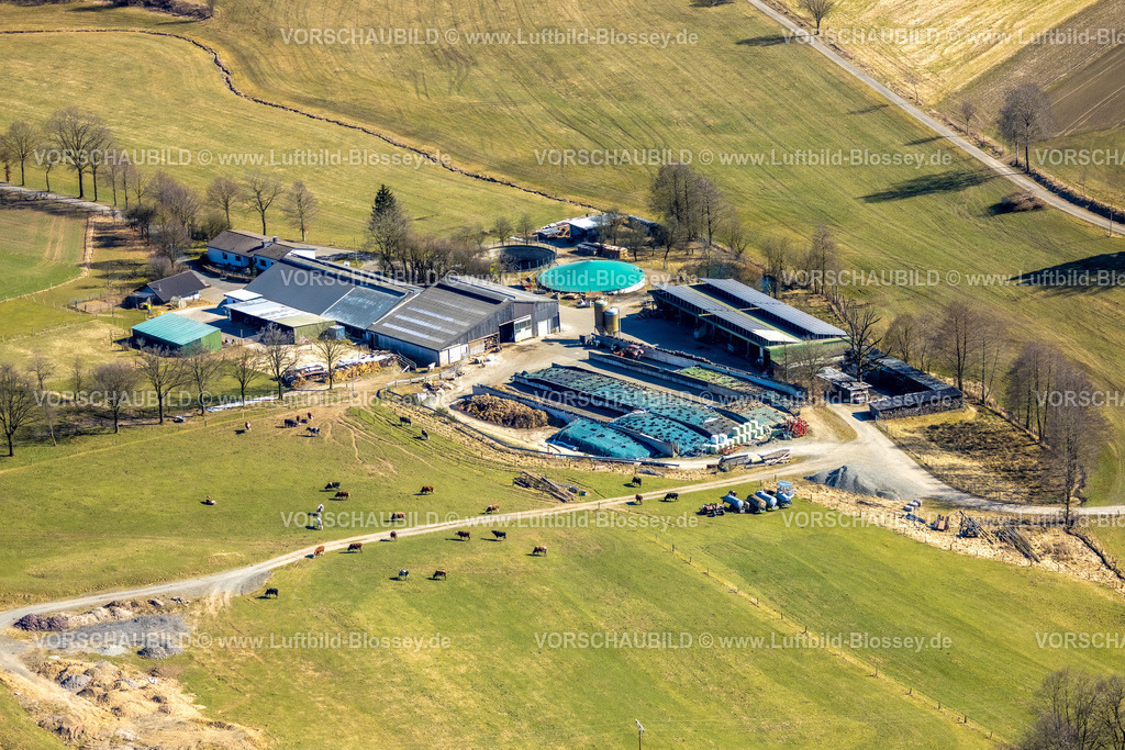 Wenden250307583LandwirtStrickerDoeingen | Luftbild, landwirtschaftlicher Betrieb Sonnenhof und Kühe auf der Weide, Heid, Wenden, Sauerland, Nordrhein-Westfalen, Deutschland