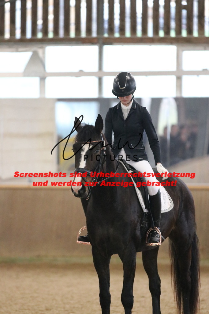 IMG_4088 | lmwpictures - Realisiert mit Pictrs.com