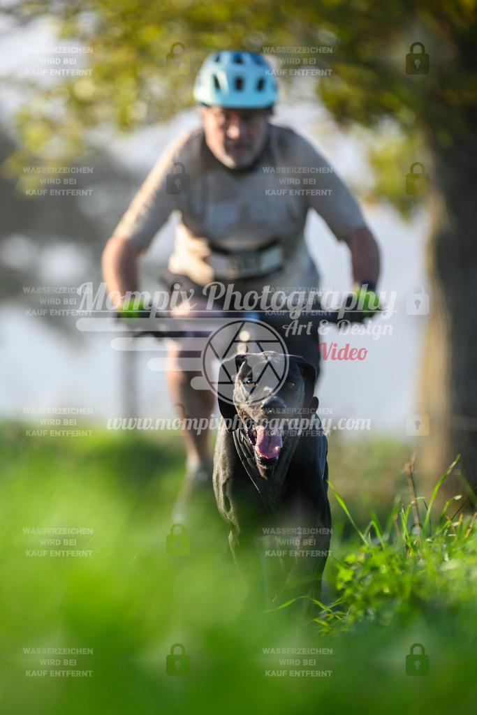 MompixPhotography_20TSB_E3_Bike-189 | PayLife
