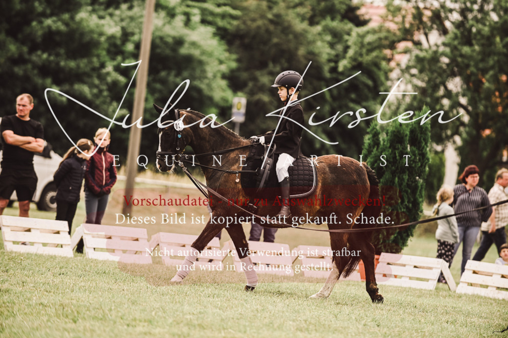 DSC_5338 | Pferde- und Turnierfotografie in Westsachsen. Pferdeportraits, Auftragszeichnungen und intuitive Kunst.