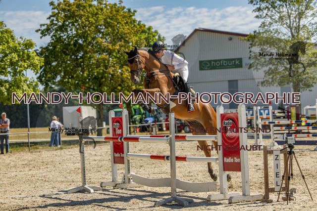 26-7-24 SPF M+-567 | mandyhollmannphotographie