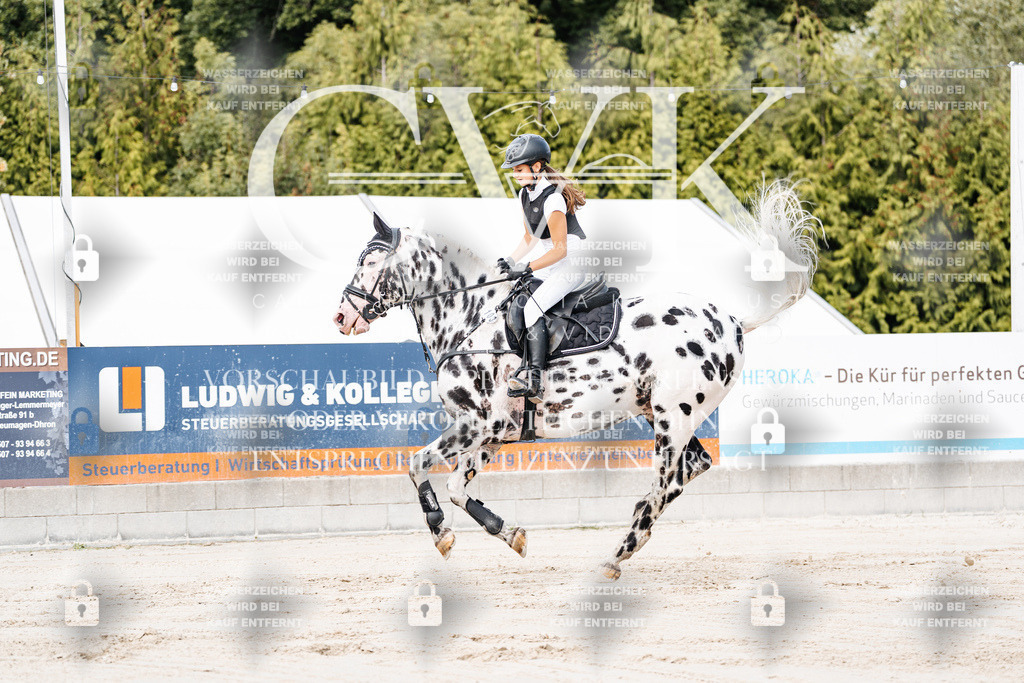 CK908919 | Turnierfotografie Pferdefotografie Trier Rheinland-Pfalz Pferdesport Reitsport Tierfotografie Sportfotografie Pferdevideo Pferdevideografie Equestrianvideography equestrianphotography  - Realisiert mit Pictrs.com