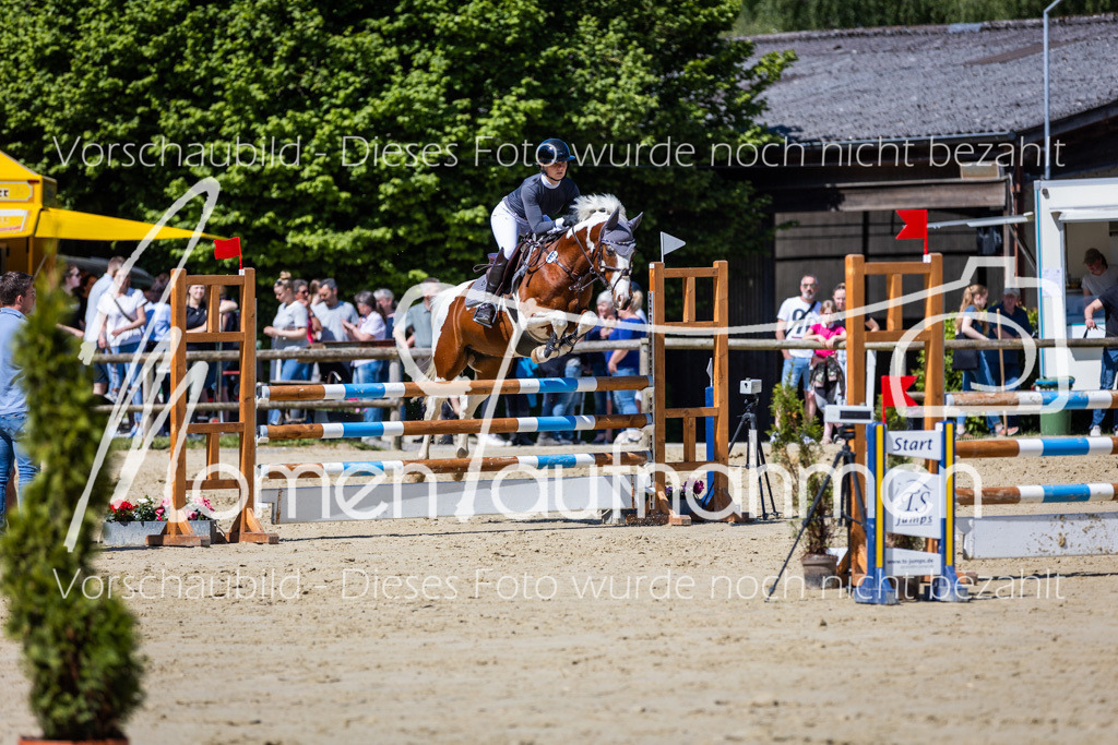 Donop24-ASprmstA-100 | MomenTaufnahmen Pferdesportfotos