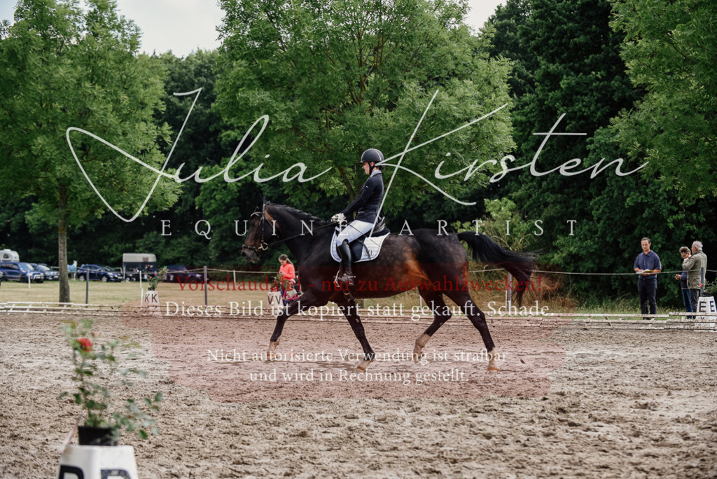 DSC_0599 | Pferde- und Turnierfotografie in Westsachsen. Pferdeportraits, Auftragszeichnungen und intuitive Kunst.