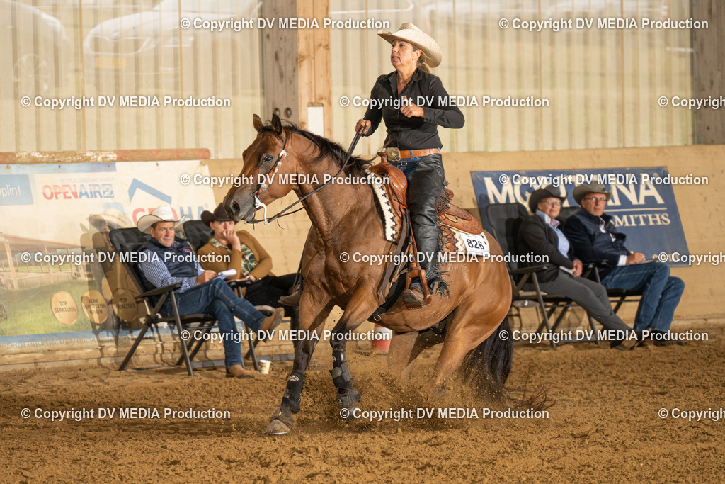 LAU00730 | dv-media-shop - Realisiert mit Pictrs.com