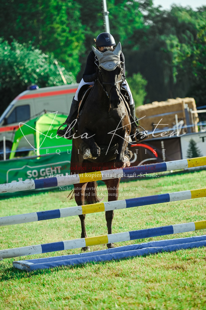 DSC_4433 | Pferde- und Turnierfotografie in Westsachsen. Pferdeportraits, Auftragszeichnungen und intuitive Kunst.