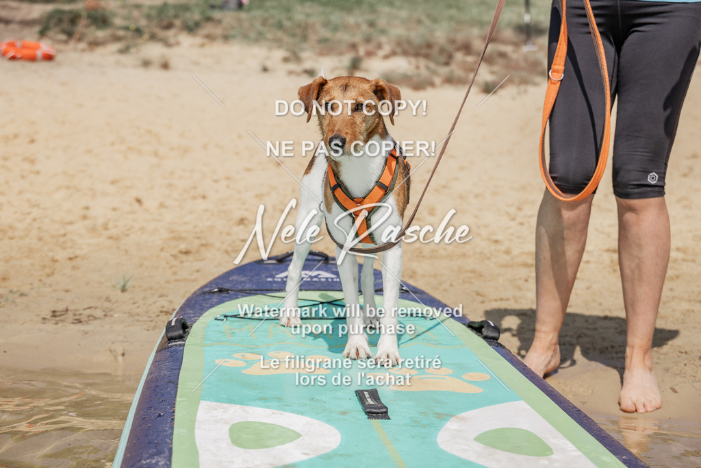 BUHU_SUP_681 | nelerasche