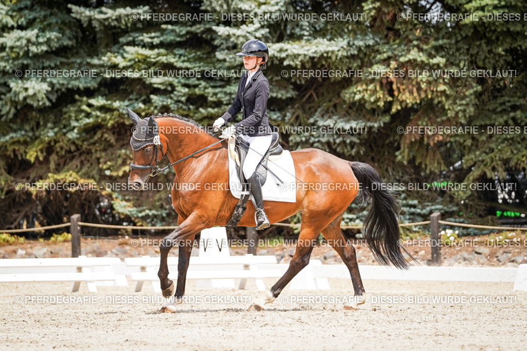 DSC03544 | Pferdegrafie