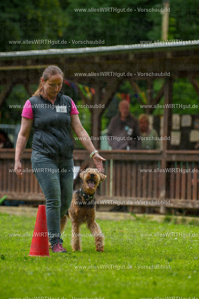 @allesWIRTHgut_Tierfotografie - www.allesWIRTHgut.de - 123948-7R509252 | Professionelle Tierfotografie in Mönchengladbach von Daniel Wirth (allesWIRTHgut). Liebevolle & natürliche Bilder von Hunden & Katzen für unvergessliche Erinnerungen.