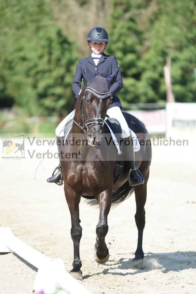 DSC02947 | equestrian-live-com