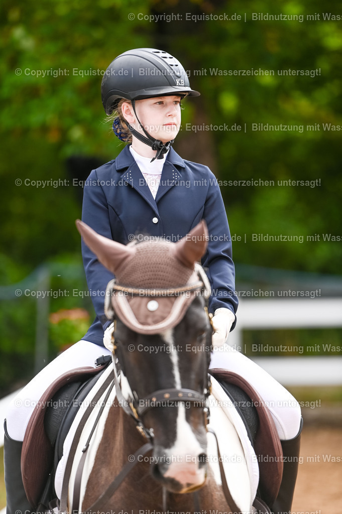 20230716_10-2_Reiter-WB Schritt - Trab - Galopp_0022 | equistock