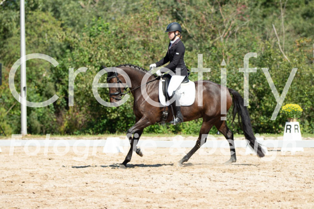 IMG_4482 | Creatify Fotografie