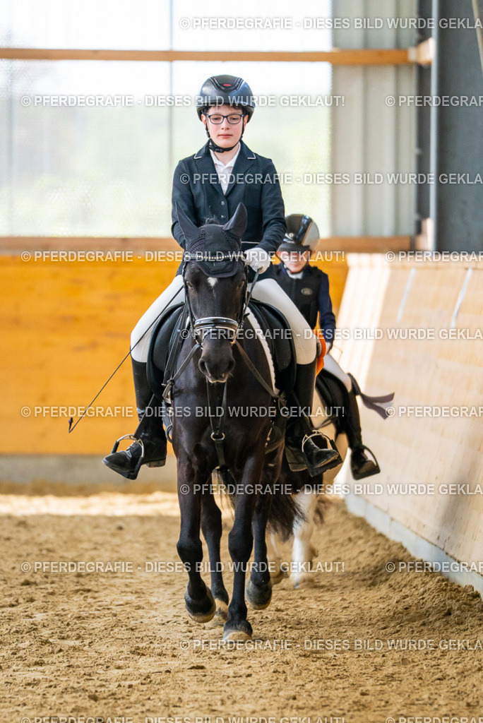 DSC01513 | Pferdegrafie