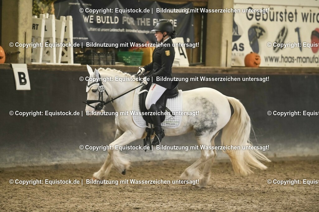 01_Dressur_A_Finale-Volksbank-Championat_0104 | Foto: Thomas Hartig