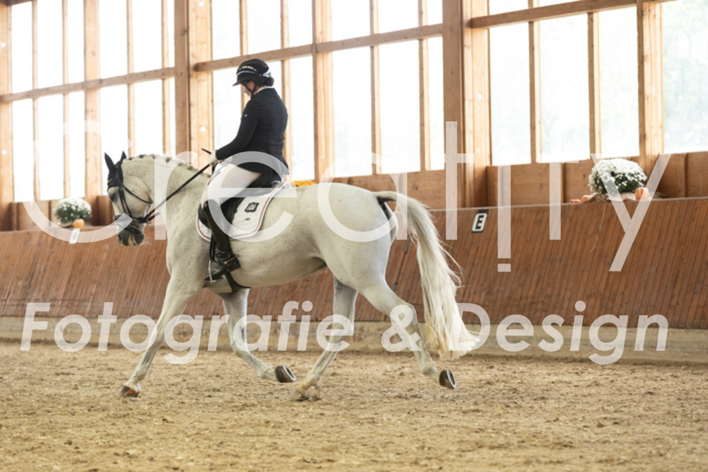 IMG_3065 | Creatify Fotografie