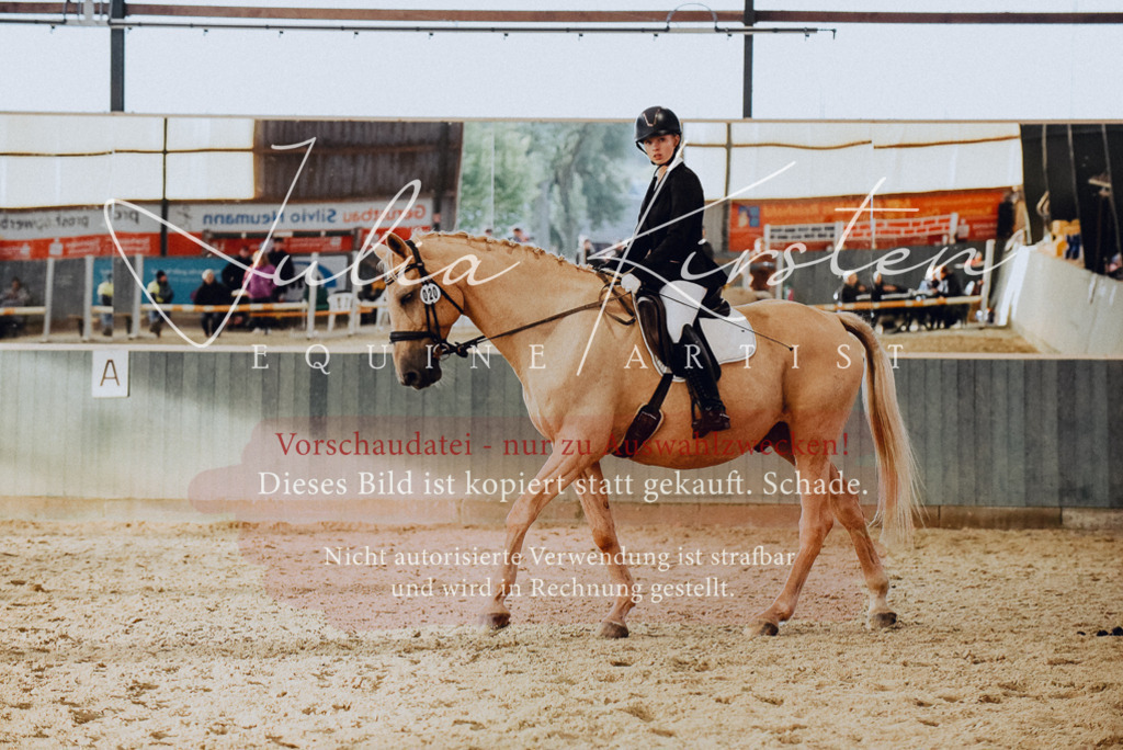 DSC_7659 | Pferde- und Turnierfotografie in Westsachsen. Pferdeportraits, Auftragszeichnungen und intuitive Kunst.