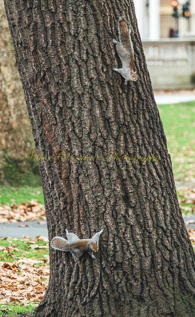 P 30 | Christian Vulin  - Realisiert mit Pictrs.com