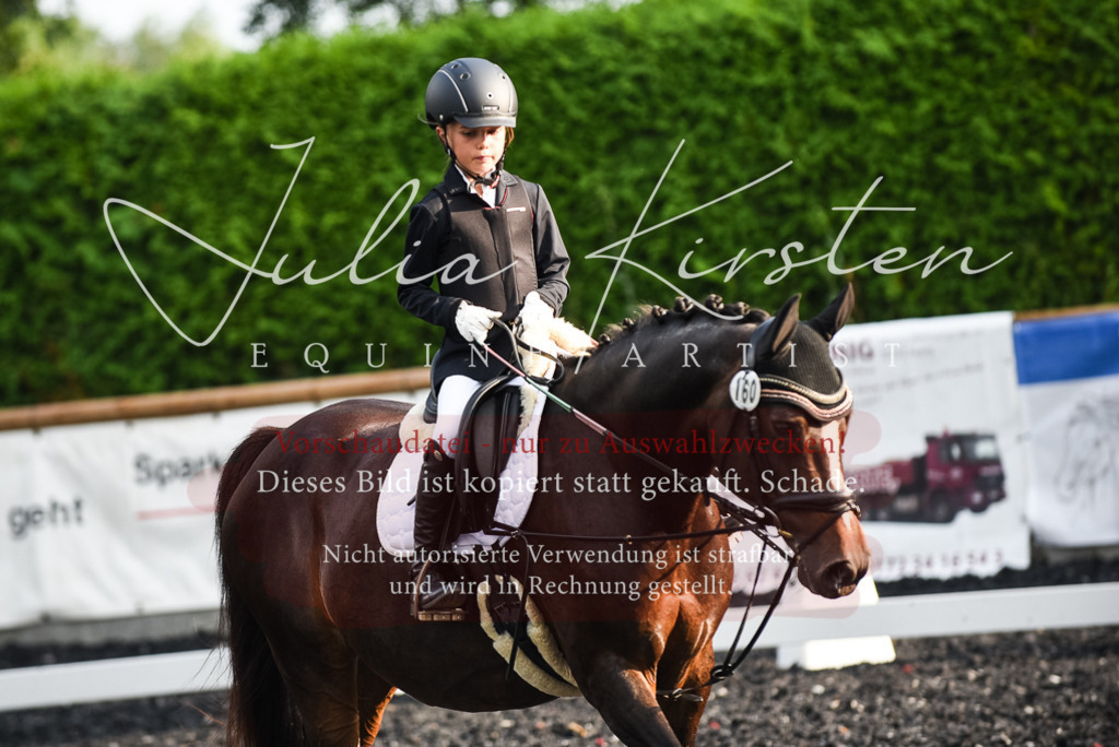 DSC_3547 | Pferde- und Turnierfotografie in Westsachsen. Pferdeportraits, Auftragszeichnungen und intuitive Kunst.