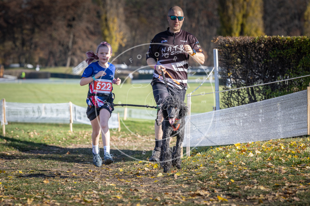 CaniXpix_DV3A8134 | Hundefotografie, Tierfotograf, Pfotenfotografie, Fotoshooting Hund, Hunde Portrait, Hundesport, Hundeportraits, Heideshooting, Hunde, Sportfotograf, Hundefotograf, Turnierhundsport, THS,  - Realisiert mit Pictrs.com
