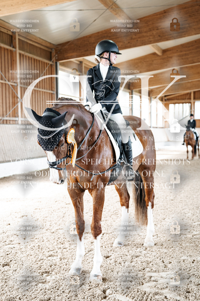 CK703323 | Turnierfotografie Pferdefotografie Trier Rheinland-Pfalz Pferdesport Reitsport Tierfotografie Sportfotografie Pferdevideo Pferdevideografie Equestrianvideography equestrianphotography  - Realisiert mit Pictrs.com
