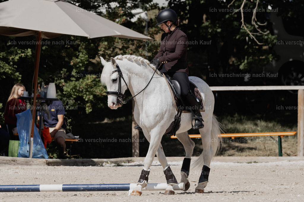 WE_ST_Stoib_318_PI2025_954 | Pferd International München 2025