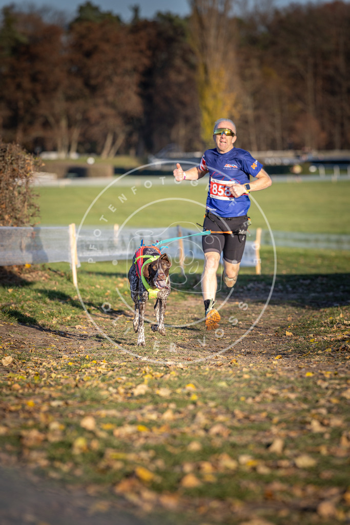 CaniXpix_DV3A4002 | Hundefotografie, Tierfotograf, Pfotenfotografie, Fotoshooting Hund, Hunde Portrait, Hundesport, Hundeportraits, Heideshooting, Hunde, Sportfotograf, Hundefotograf, Turnierhundsport, THS,  - Realisiert mit Pictrs.com