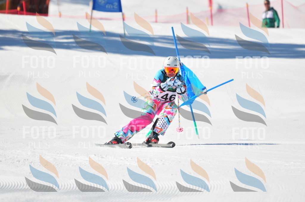 C3995 | holidayphoto