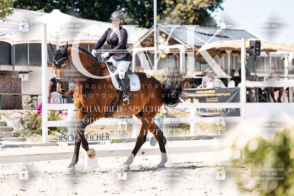 CK900051 | Turnierfotografie Pferdefotografie Trier Rheinland-Pfalz Pferdesport Reitsport Tierfotografie Sportfotografie Pferdevideo Pferdevideografie Equestrianvideography equestrianphotography  - Realisiert mit Pictrs.com