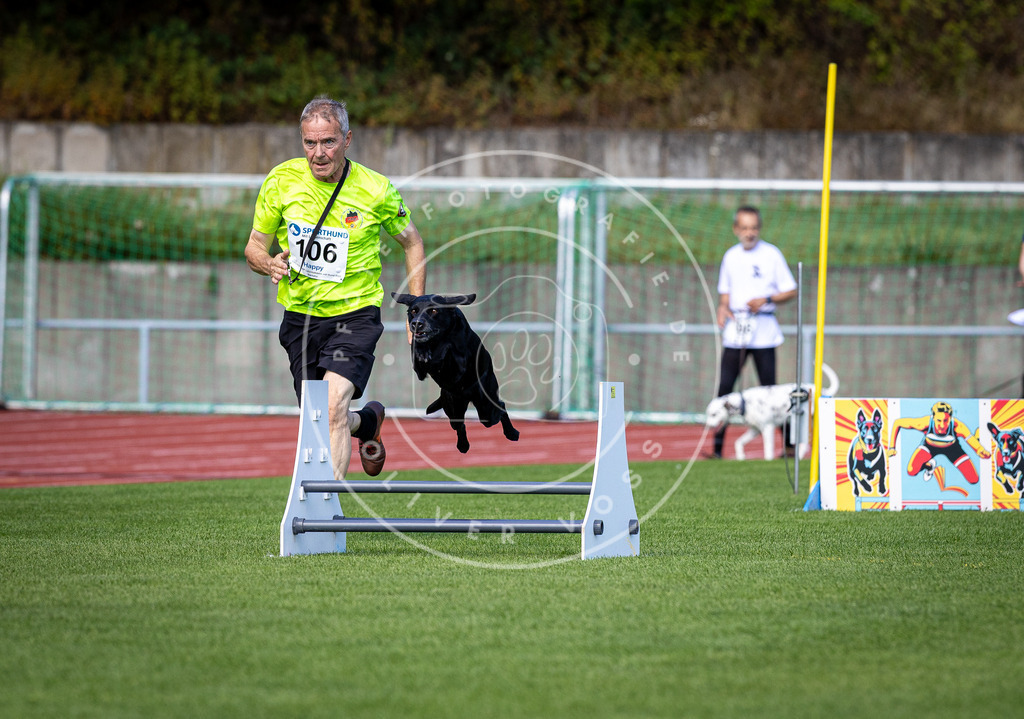 Pfotenfotografie_DV3A8159 | Hundefotografie, Tierfotograf, Pfotenfotografie, Fotoshooting Hund, Hunde Portrait, Hundesport, Hundeportraits, Heideshooting, Hunde, Sportfotograf, Hundefotograf, Turnierhundsport, THS,  - Realisiert mit Pictrs.com