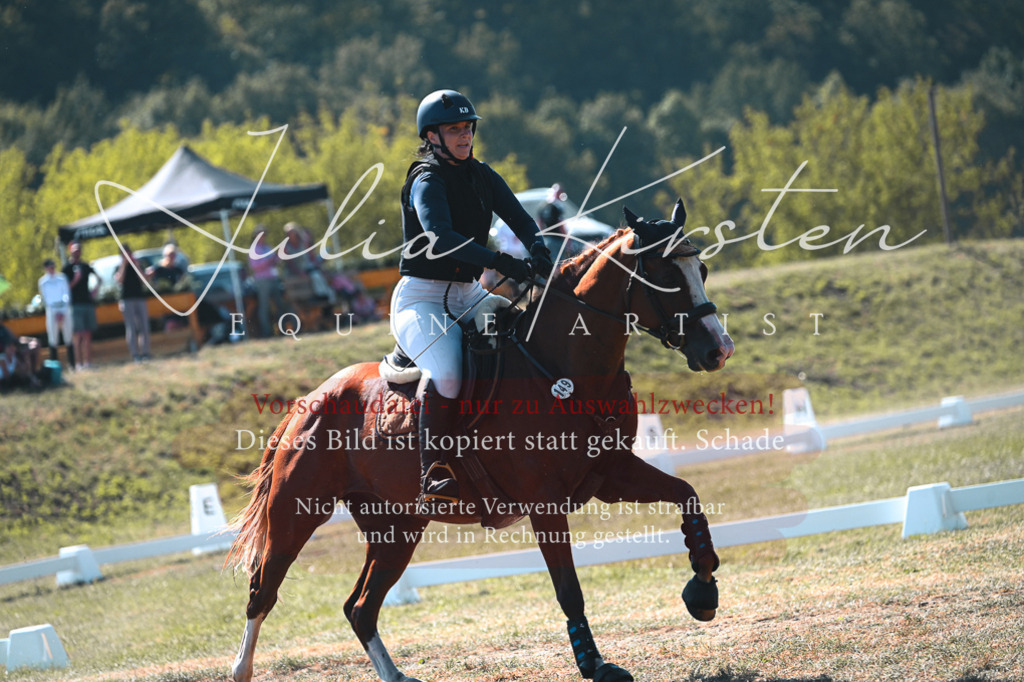 DSC_7998 | Pferde- und Turnierfotografie in Westsachsen. Pferdeportraits, Auftragszeichnungen und intuitive Kunst.