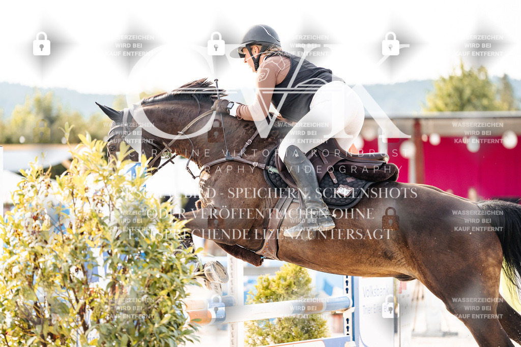 CK906577 | Turnierfotografie Pferdefotografie Trier Rheinland-Pfalz Pferdesport Reitsport Tierfotografie Sportfotografie Pferdevideo Pferdevideografie Equestrianvideography equestrianphotography  - Realisiert mit Pictrs.com