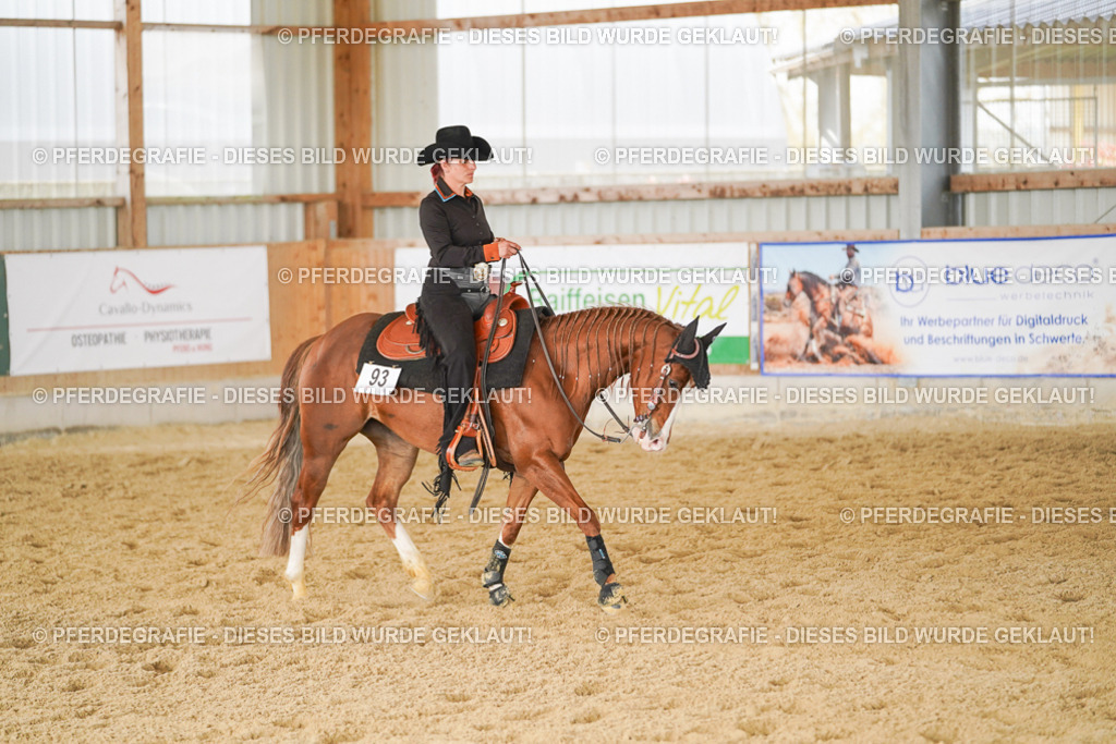 DSC02001 | Pferdegrafie