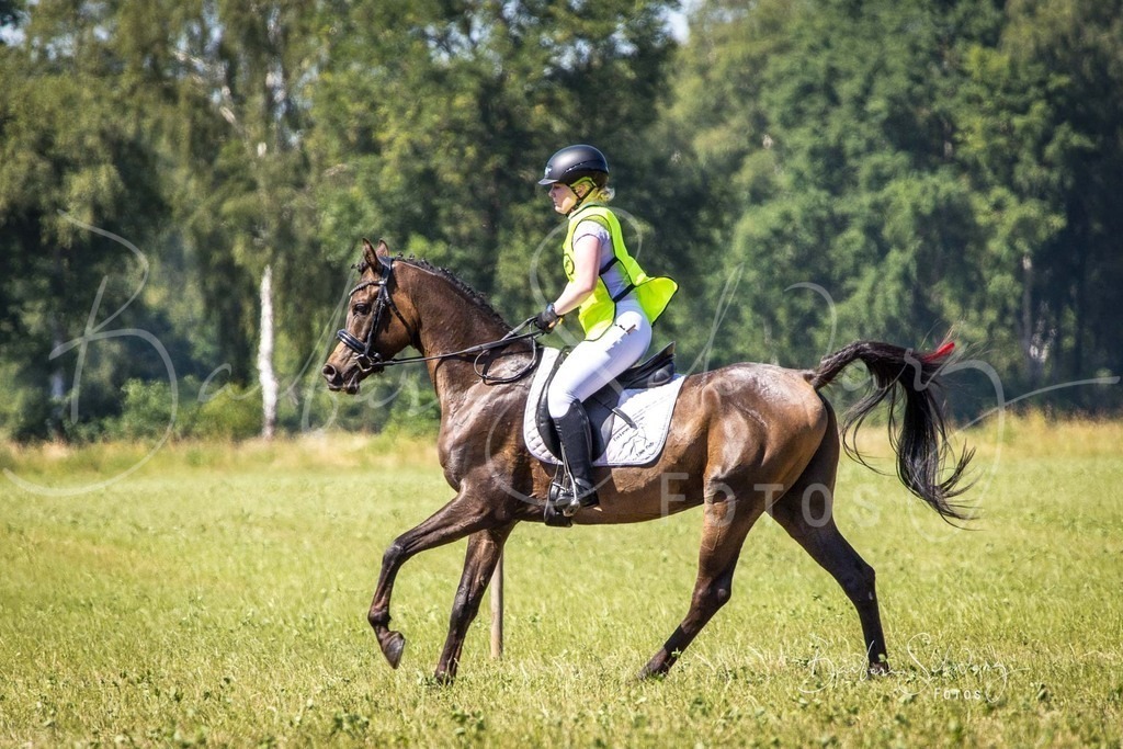 CJP_2026-06-26_172 | Stimmungsvolle Fotografie von Pferden, fotografische Begleitung von Veranstaltungen, Golfturnieren und Distanzritten - Realisiert mit Pictrs.com