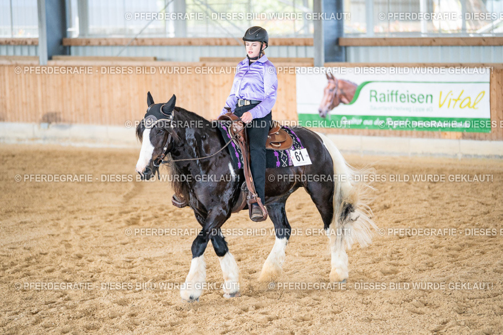 DSC03246 | Pferdegrafie