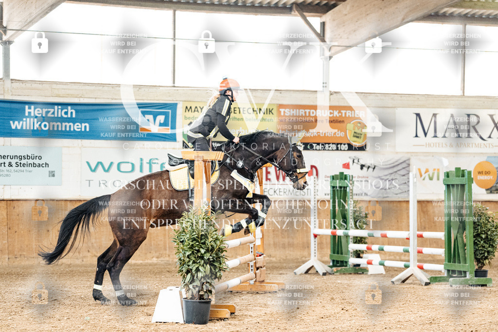 CK905387 | Turnierfotografie Pferdefotografie Trier Rheinland-Pfalz Pferdesport Reitsport Tierfotografie Sportfotografie Pferdevideo Pferdevideografie Equestrianvideography equestrianphotography  - Realized with Pictrs.com